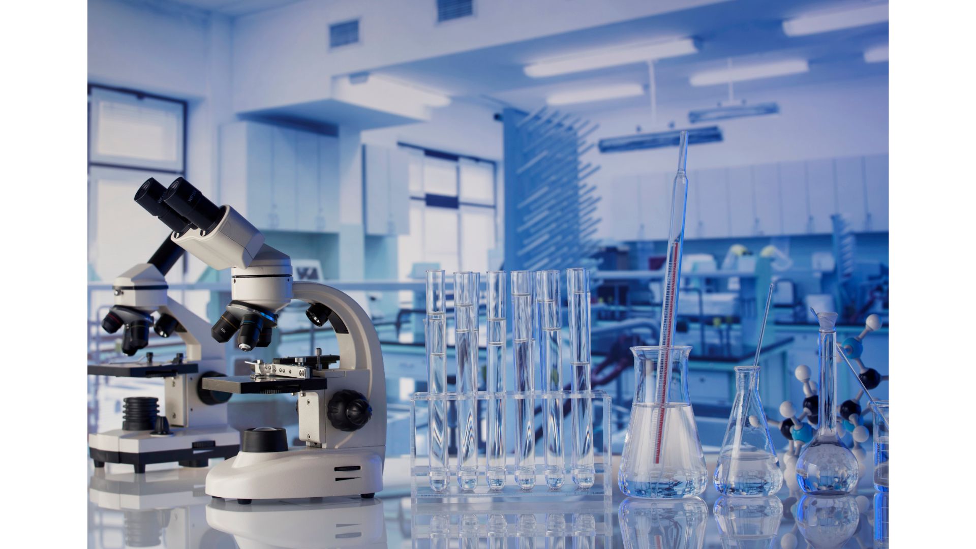 Laboratory Products 